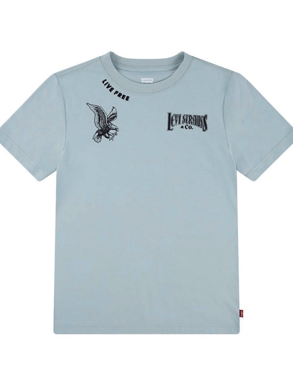 Levi's Light Blue Boys' Eagle Graphic Tee